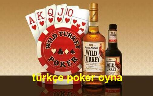 türkçe poker oyna 2021