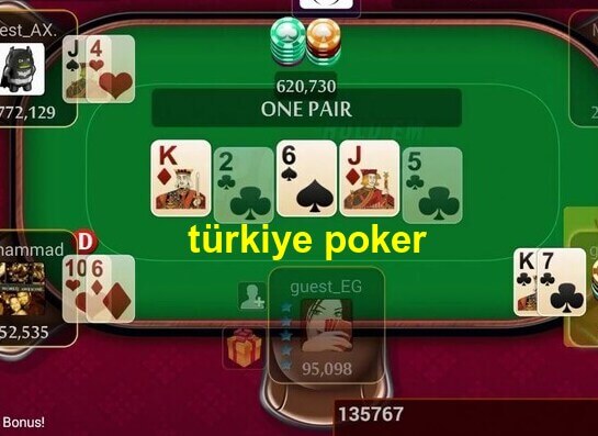türkiye poker oyunları oyna
